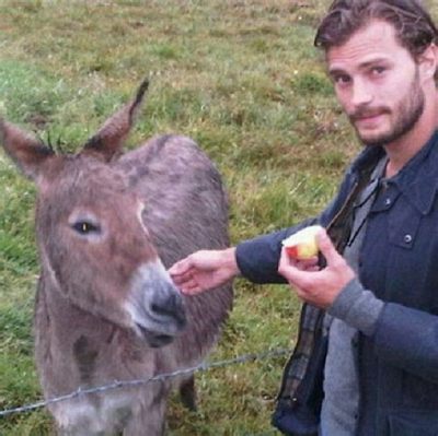 can jamie dornan have a pet dragon